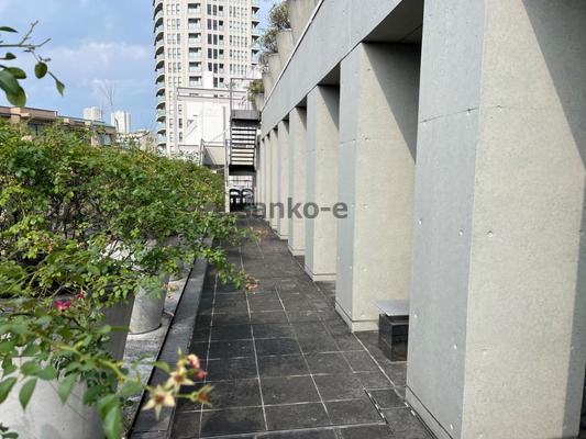 photo01