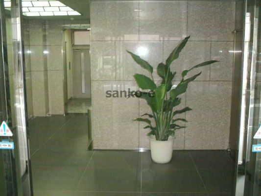 photo01