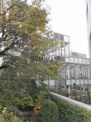 photo01