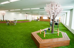 株式会社リジョブ:桜の咲く公園