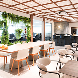 カフェエリア／フェンスの仕切り