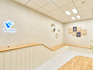 株式会社ビーグリー