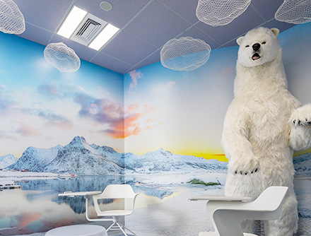 Arctic(北極)