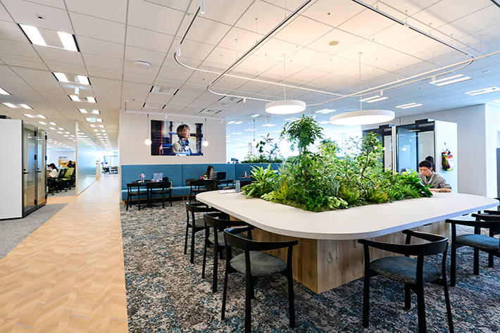 コラボレーションエリア