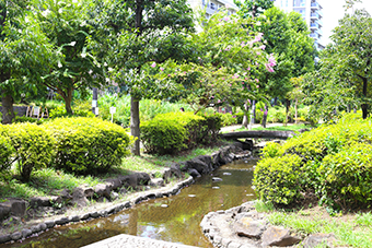 本所吾妻橋駅「大横川親水公園」