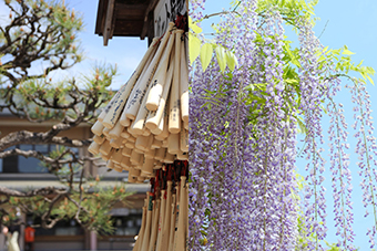 東松山駅「箭弓稲荷神社」