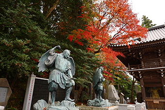 京王高尾線 高尾山口「高尾山薬王院」