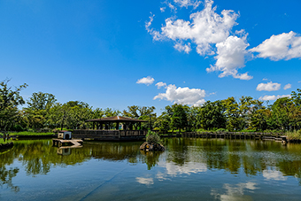 荒川七丁目駅「荒川自然公園」