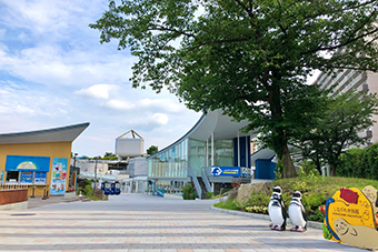 大森海岸駅「しながわ水族館」