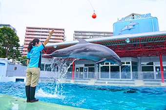 大森海岸駅「しながわ水族館」