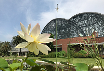 新木場駅「夢の島熱帯植物館」