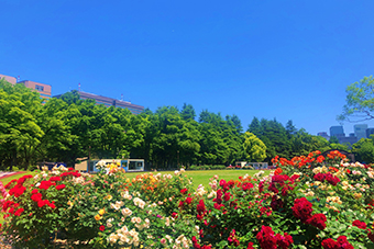 日比谷駅「日比谷公園」