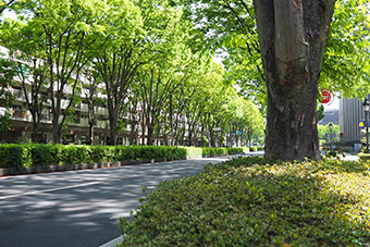 航空公園駅「複葉機をイメージした駅舎」