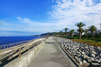 馬堀海岸駅「まぼちょく」