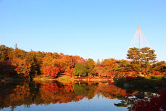 昭和記念公園