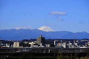 成城／富士見橋