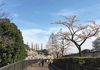 哲学堂公園