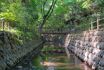 等々力渓谷公園