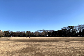都立光が丘公園