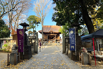 戸越八幡神社「夢叶うさぎ」