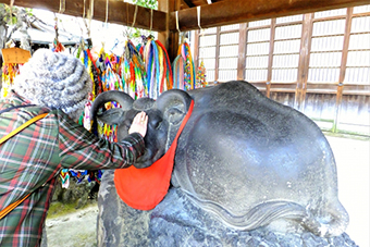 牛嶋神社