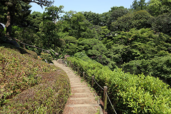 池田山公園