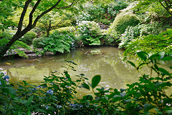 池田山公園