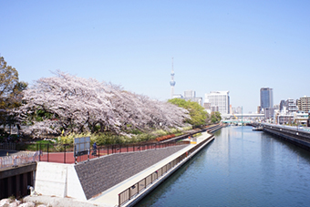 猿江恩賜公園