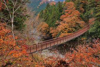 秋川渓谷