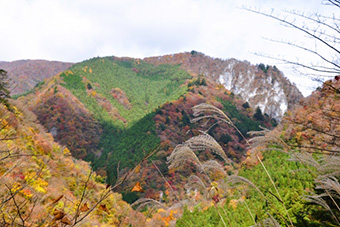 秋川渓谷