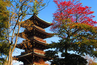 池上本門寺