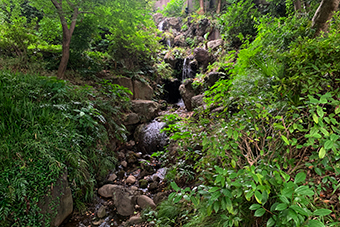 須藤公園「須藤の滝」