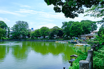 学芸大駅「碑文谷公園」