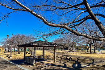 氷川台駅「城北中央公園」