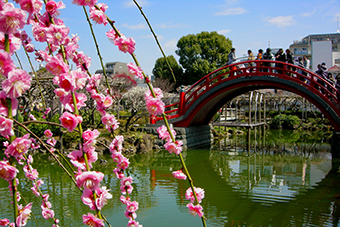 亀戸駅「亀戸天神社」