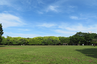 代々木公園駅「代々木公園」