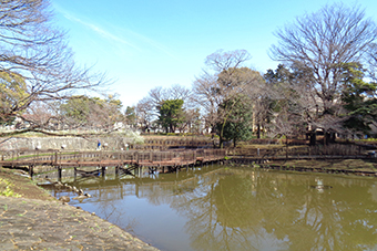 戸越公園駅「文庫の森」
