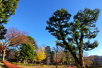 戸越公園駅「文庫の森」