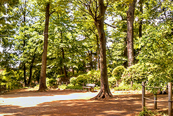 上町駅「世田谷城址公園」