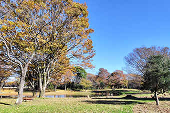 西立川駅「国営昭和記念公園」