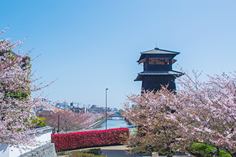 船堀駅「新川西水門広場と新川千本桜」