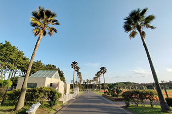 辻堂駅「辻堂海浜公園」