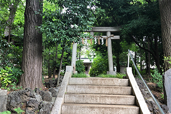 都立大学駅「八雲氷川神社」
