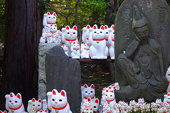 宮の坂駅①「豪徳寺」