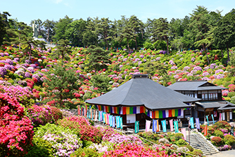 河辺駅「塩船観音寺」