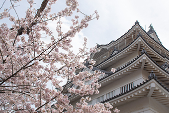 千葉駅「亥鼻公園」