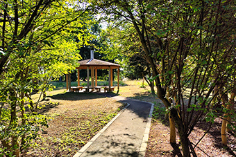 守谷駅「北園森林公園」