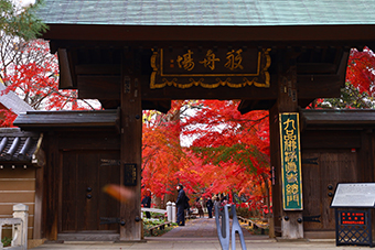 九品仏駅「九品仏浄真寺」