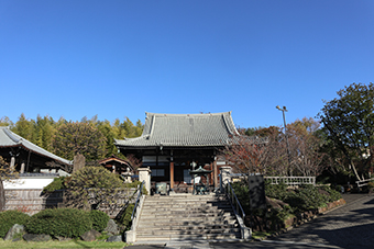 妙蓮寺駅「妙蓮寺」