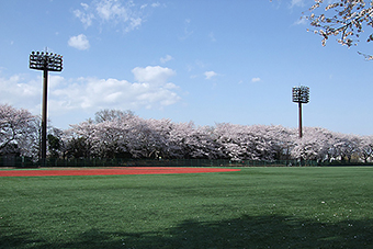 志村坂上駅「板橋区立小豆沢公園（あずさわスポーツフィールド）」